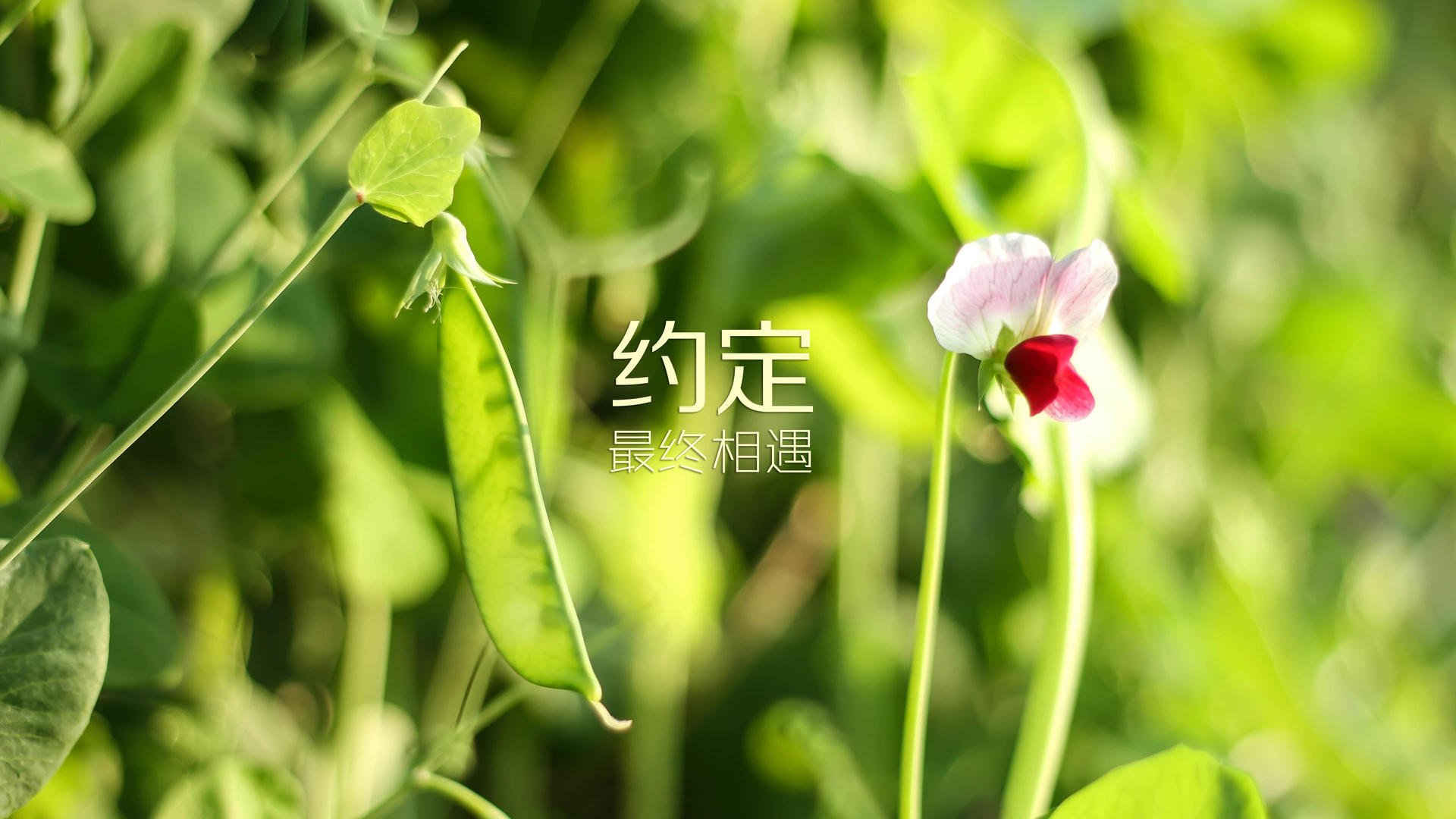 _极地极限跑：在极寒之地挑战人类极限_，极地是啥游戏