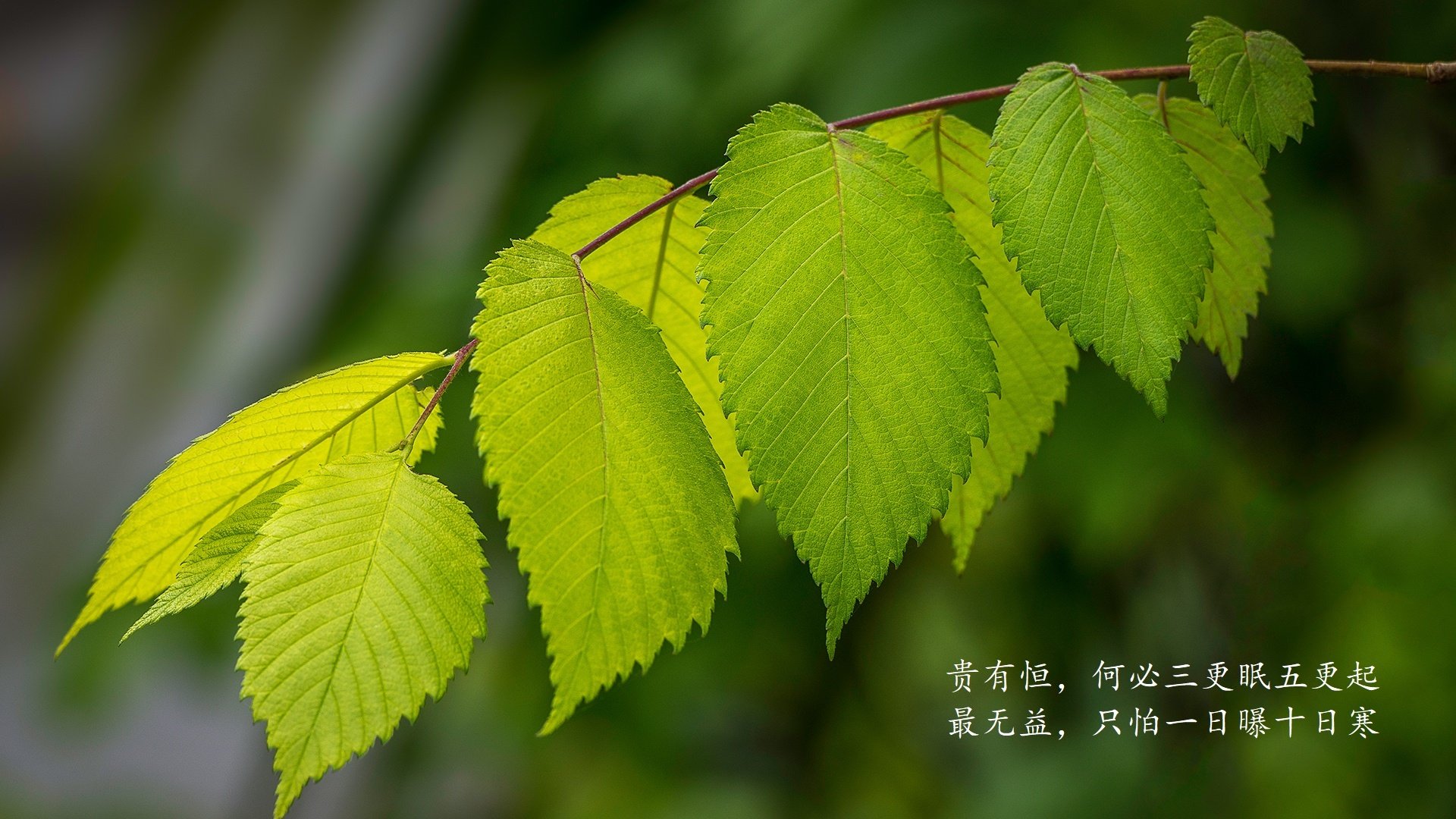 “德甲后期激战不断，积分榜情势逐步明朗”，德甲2020-2021积分