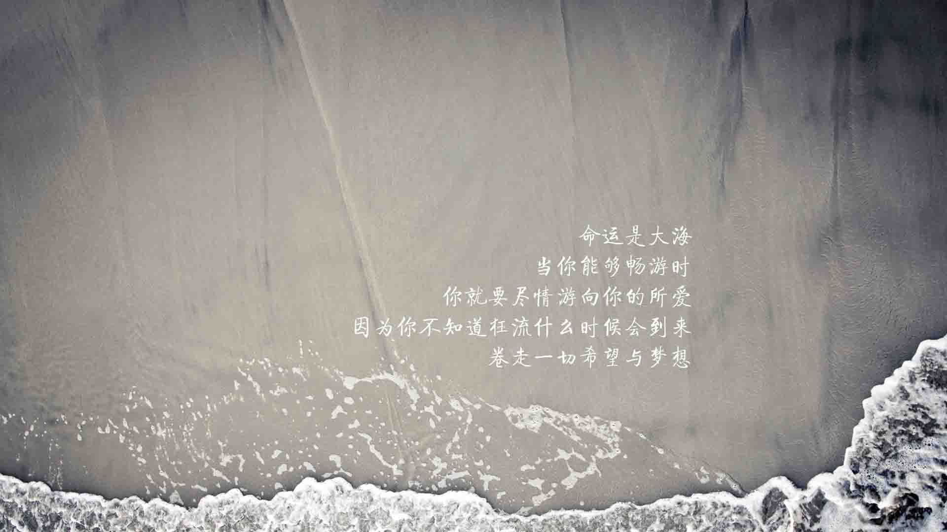 “史上最强防守阵容：联盟防守大师盘点”，nba联盟防守最好的三个球员