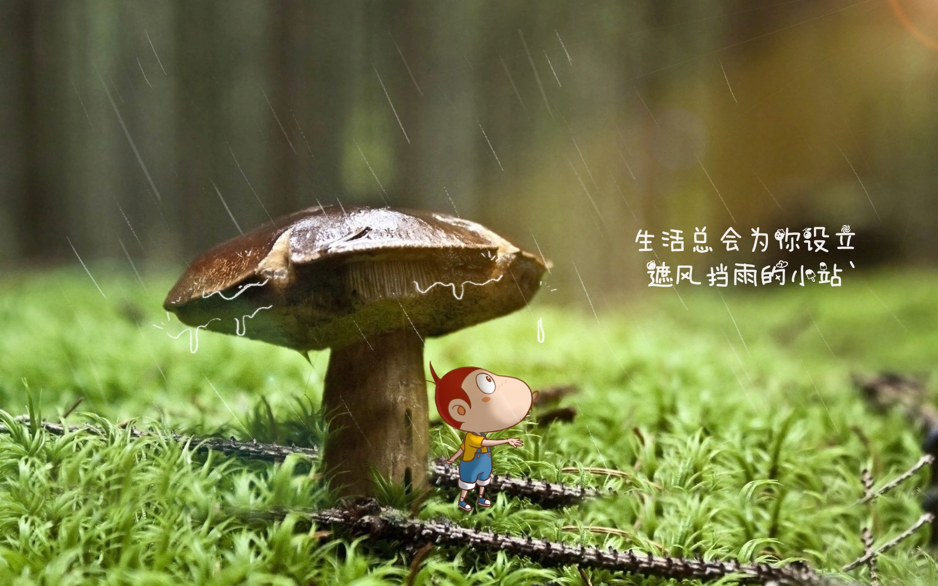 全球最热台球赛事全面盘点，台球世界赛事