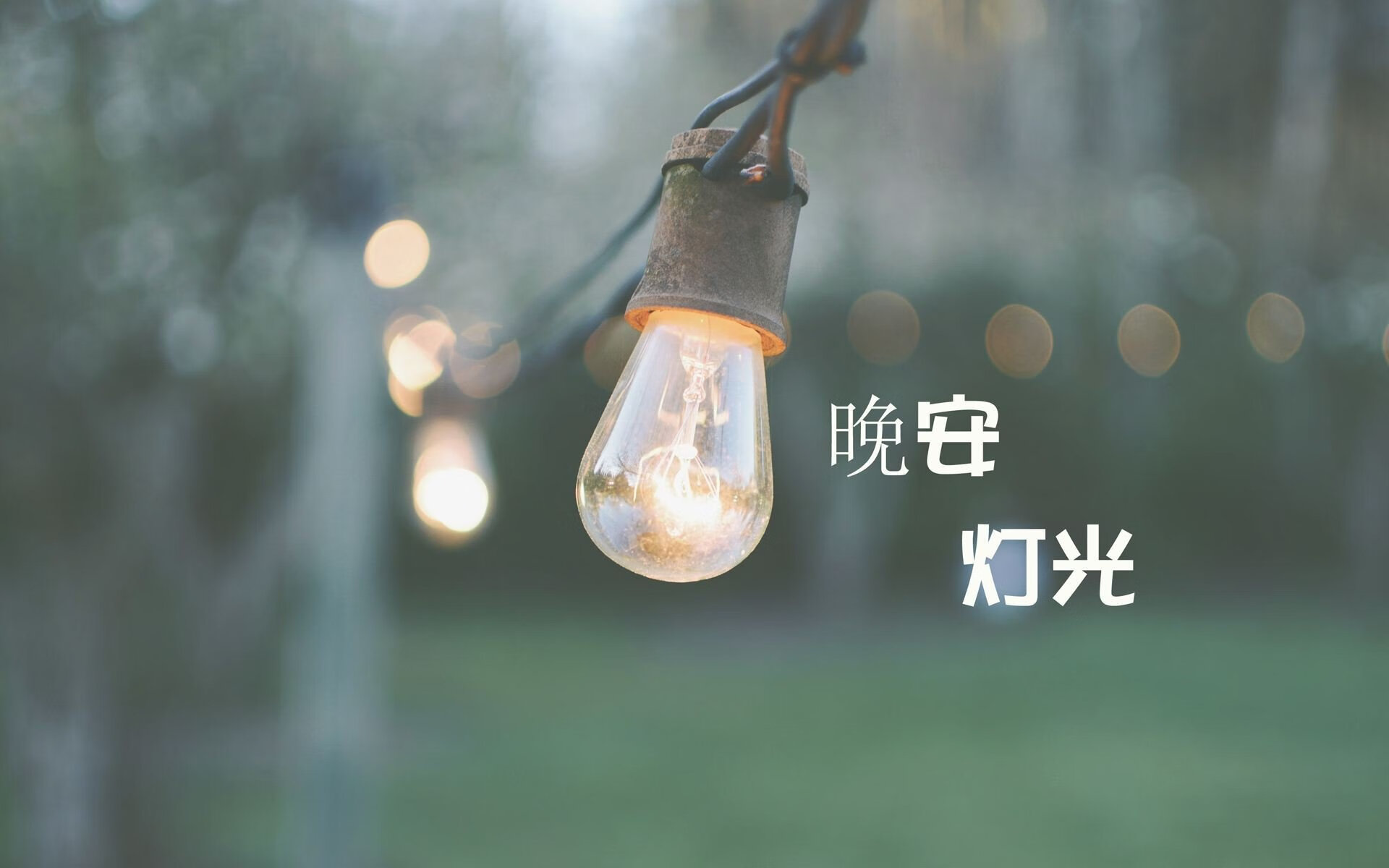 墨西哥马术协会与非洲马术协会开展技术援助项目，提升当地水平。