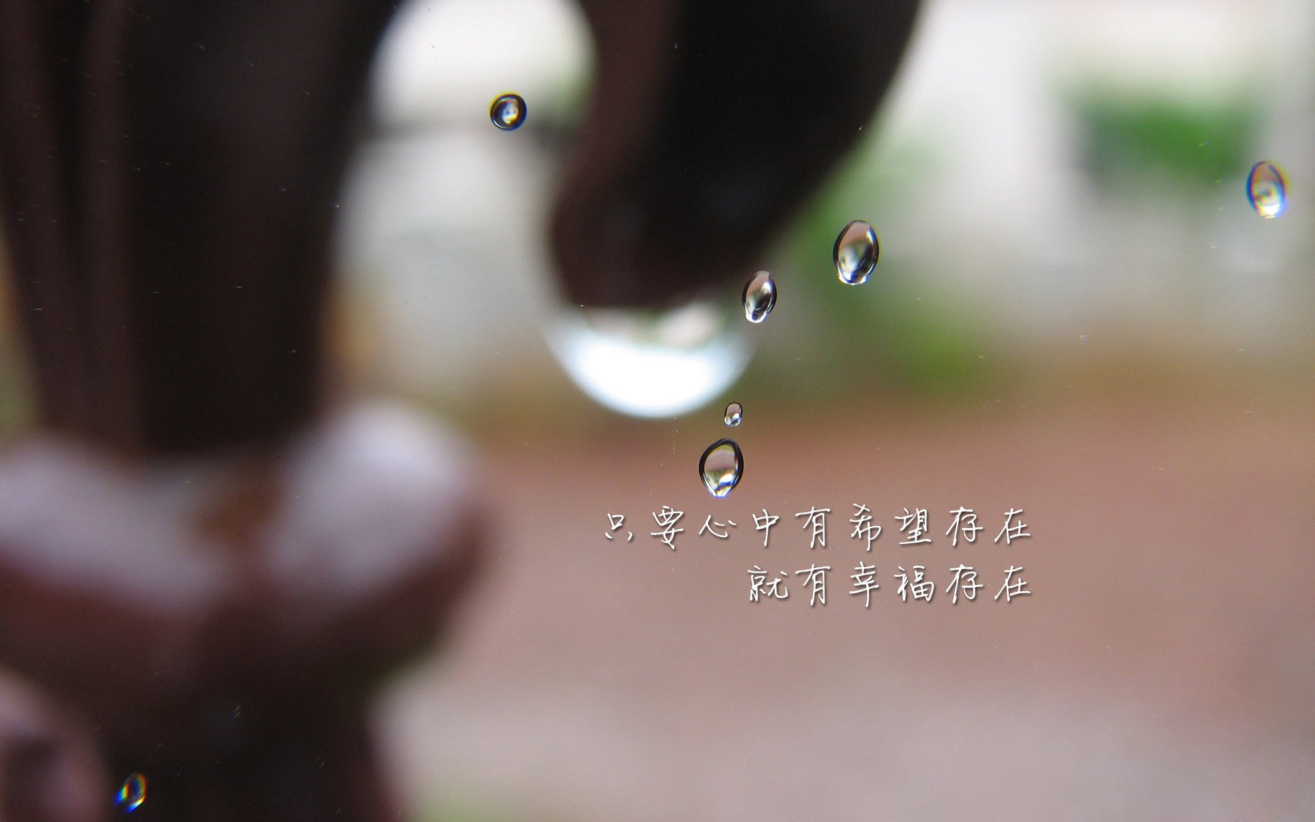 广州Tigers主场完胜，赢得球迷热烈掌声，广州队的主场在哪儿