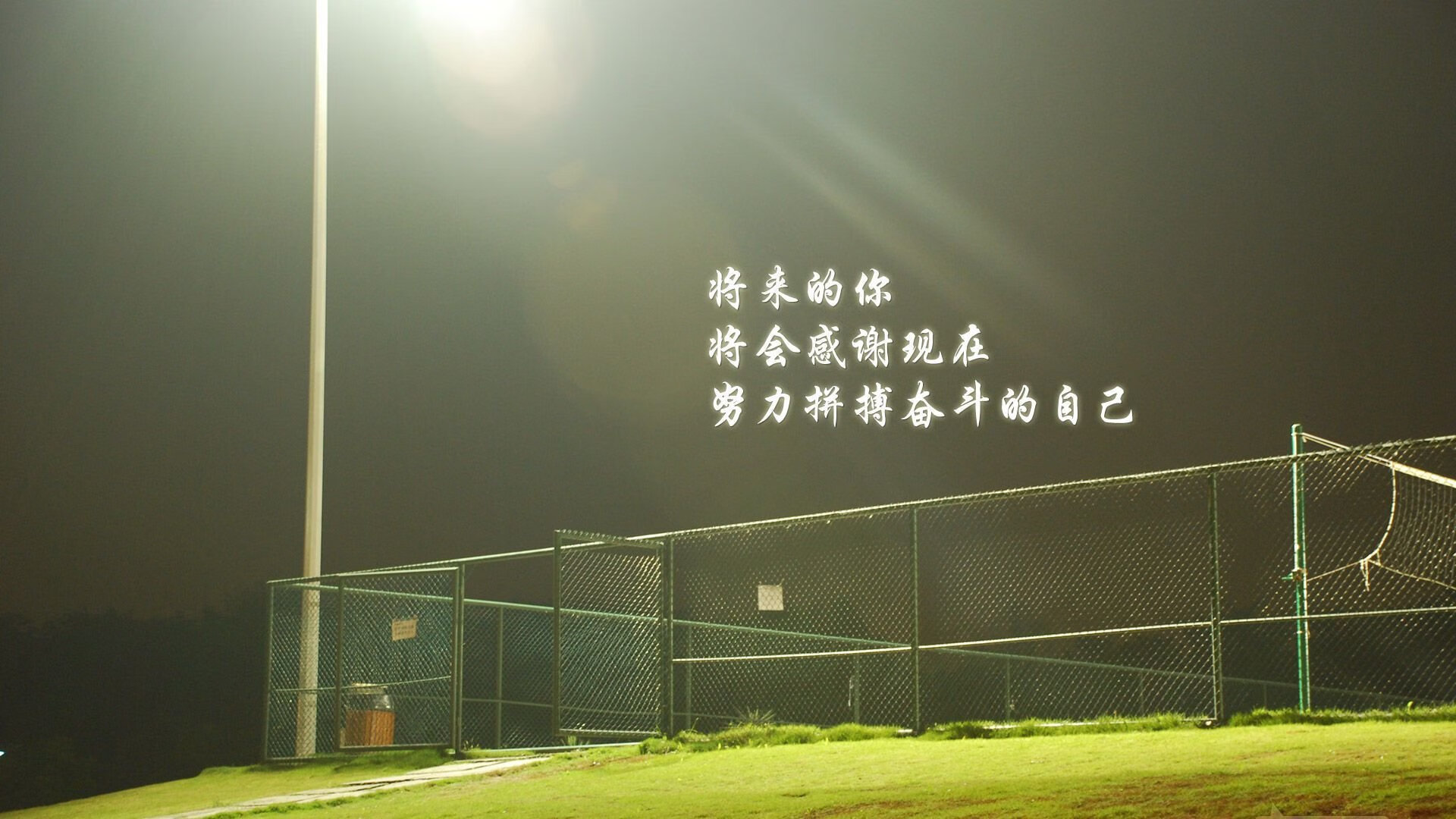血战赛场：车手你追我赶，精彩不断