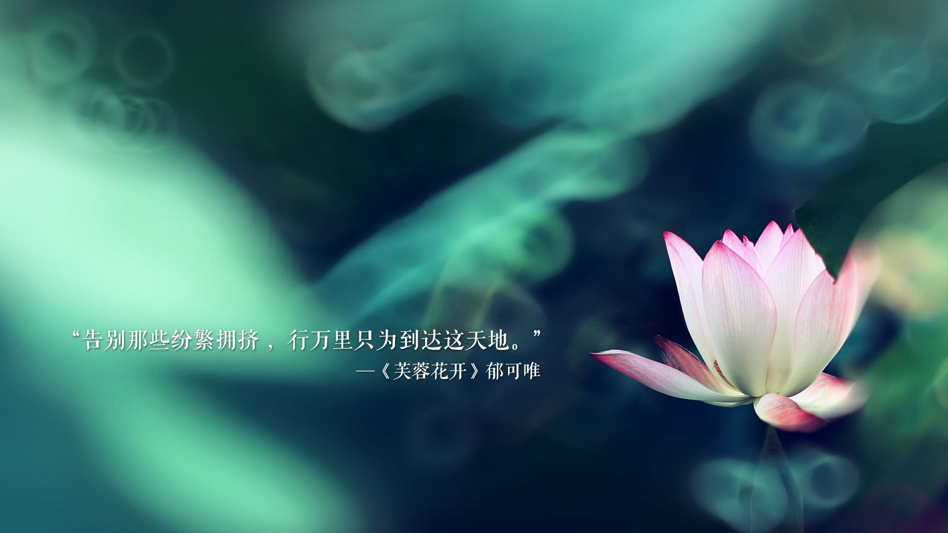 利物浦险胜对手，欧冠之路坎坷不堪！，利物浦队欧冠