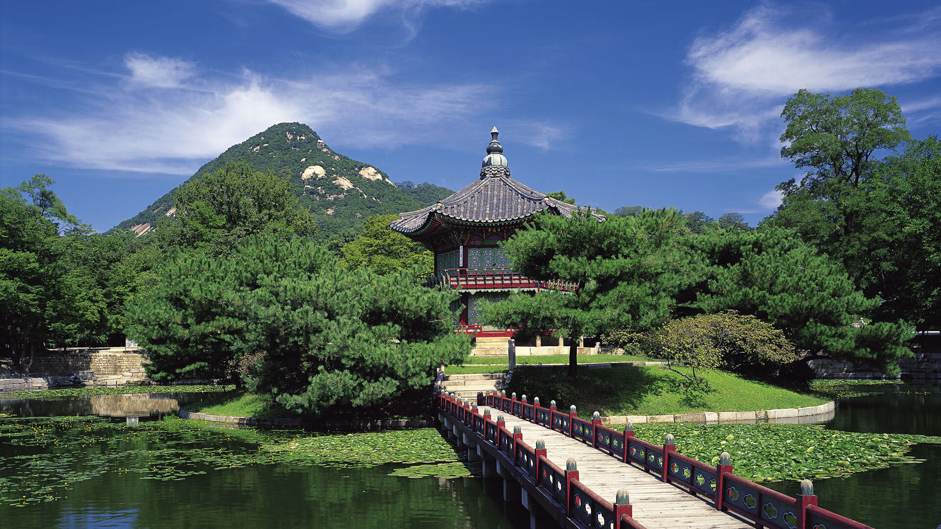川崎前锋锋线火力全开，川崎前锋摩托车
