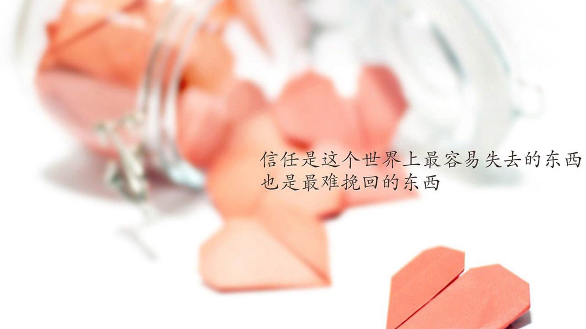 中国香港队如何加强国际合作与交流，提升团队战术执行力，香港队一起合影