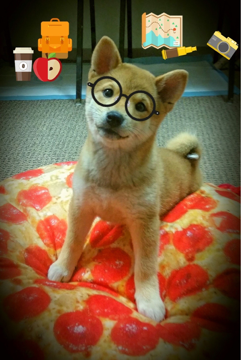 杰克·阿莱克西技术动作精准无瑕,杰克阿西斯