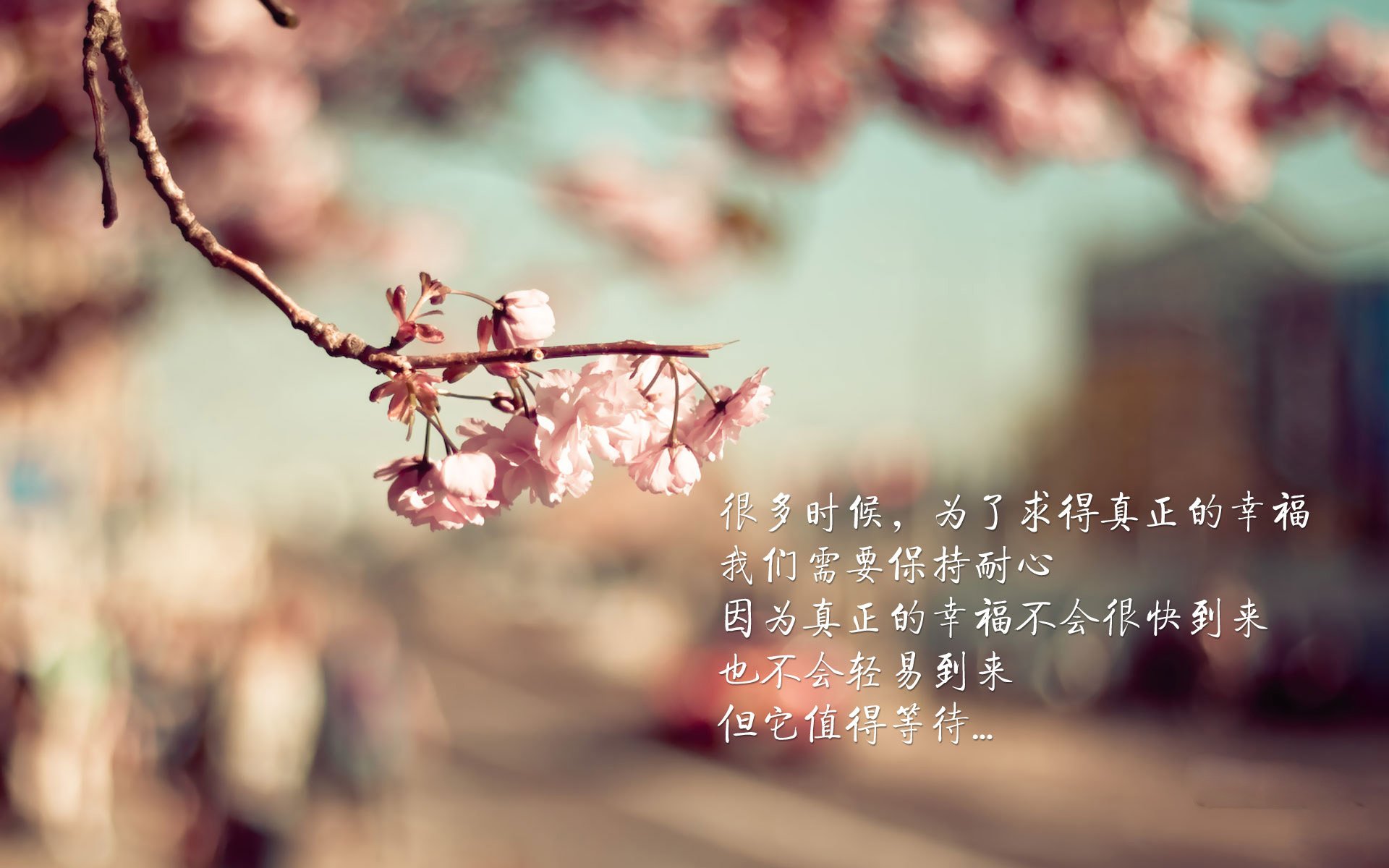 法甲新锐崛起:未来巨星在此升华!,法甲十大新星