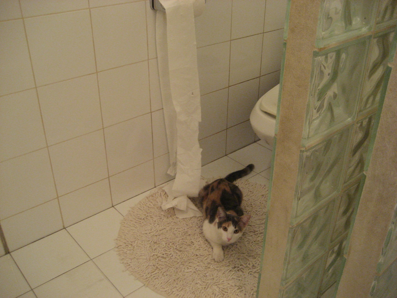 英超极限比赛:时间危机中的绝佳表现,英超时差